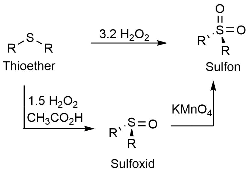 Reaktion Sulfon